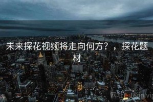 未来探花视频将走向何方？，探花题材