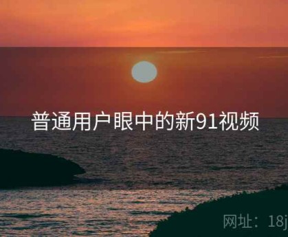 普通用户眼中的新91视频