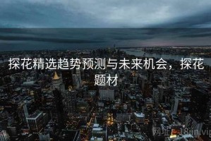 探花精选趋势预测与未来机会，探花题材