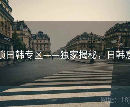 解锁日韩专区——独家揭秘，日韩意思