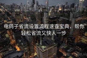 电鸽子省流设置流程速查宝典，帮你轻松省流又快人一步