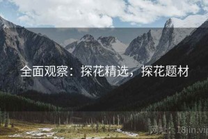 全面观察：探花精选，探花题材