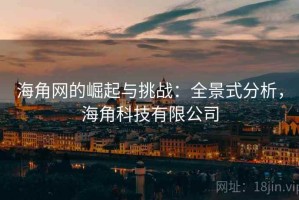 海角网的崛起与挑战：全景式分析，海角科技有限公司