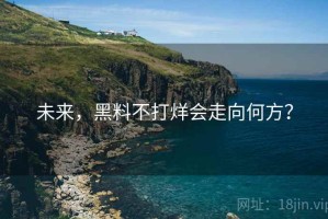 未来，黑料不打烊会走向何方？