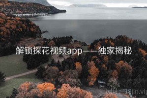 解锁探花视频app——独家揭秘
