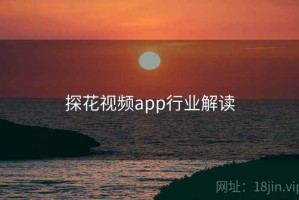 探花视频app行业解读