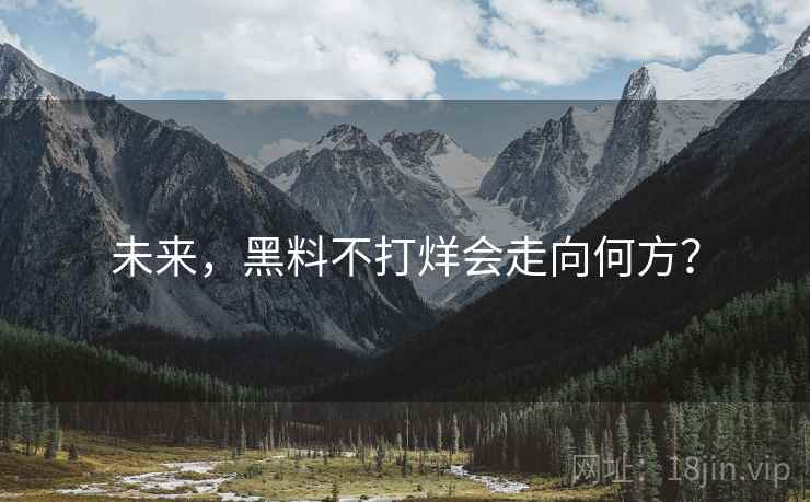 未来，黑料不打烊会走向何方？