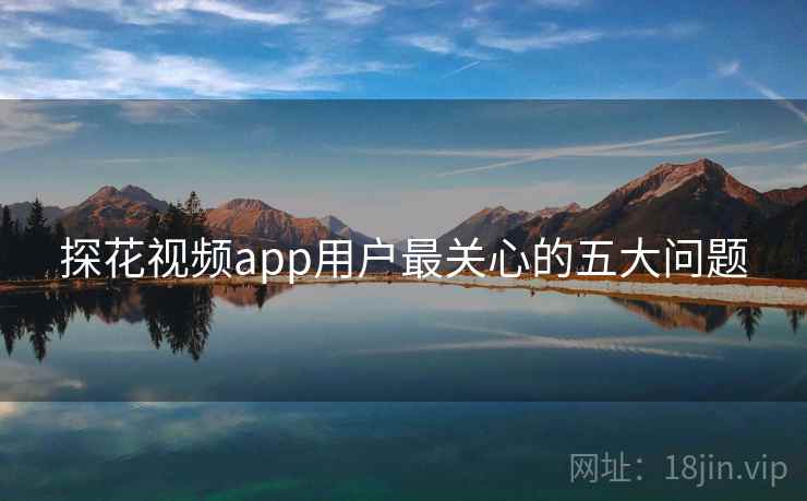 探花视频app用户最关心的五大问题