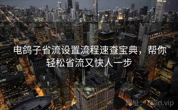 电鸽子省流设置流程速查宝典，帮你轻松省流又快人一步