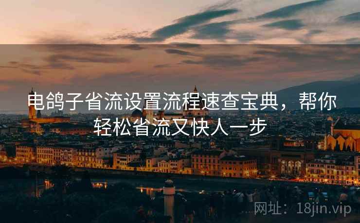 电鸽子省流设置流程速查宝典，帮你轻松省流又快人一步