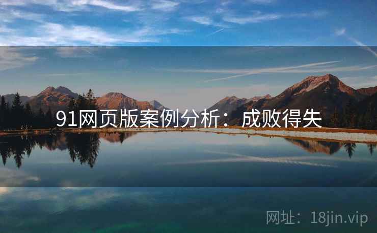 91网页版案例分析：成败得失