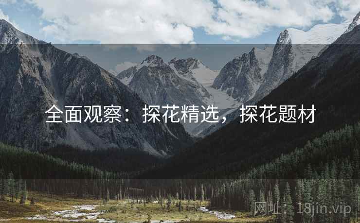 全面观察：探花精选，探花题材