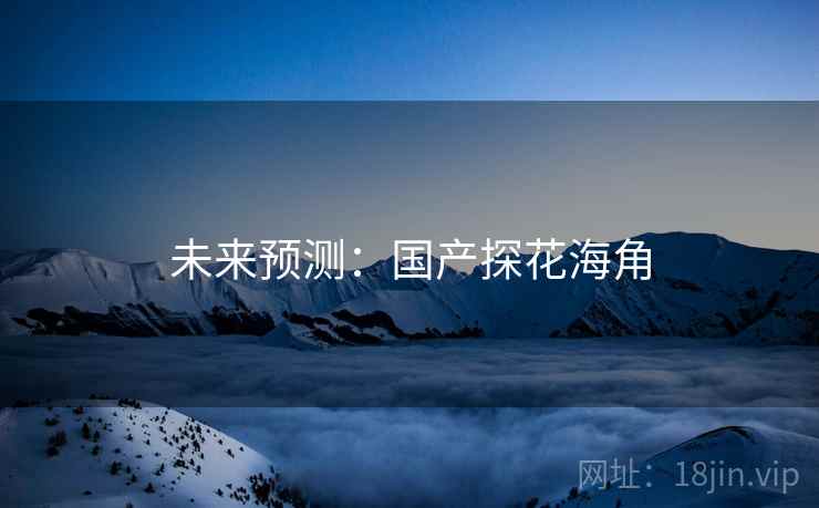 未来预测：国产探花海角