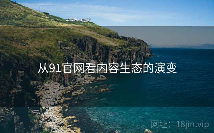 从91官网看内容生态的演变