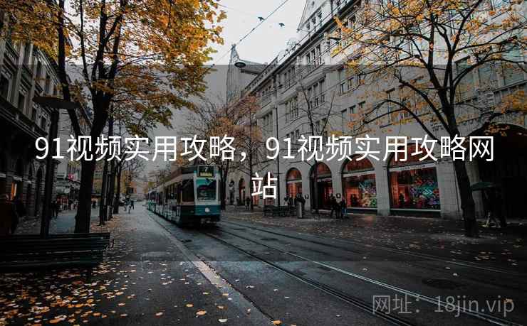 91视频实用攻略，91视频实用攻略网站