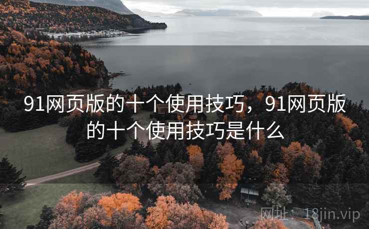 91网页版的十个使用技巧，91网页版的十个使用技巧是什么